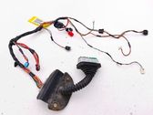 Front door wiring loom