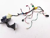 Front door wiring loom