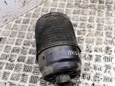 Rear air suspension bag/shock absorber