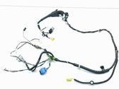 Front door wiring loom