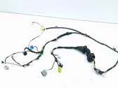 Front door wiring loom