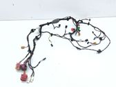 Other wiring loom