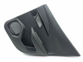 Moldura del tarjetero de la puerta trasera