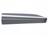 Front door trim (molding)