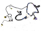 Front door wiring loom