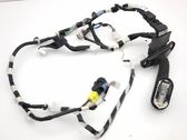Front door wiring loom