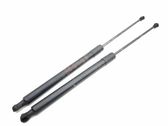 Tailgate/trunk strut/damper