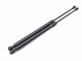 Tailgate/trunk strut/damper
