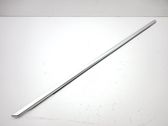 Front door glass trim molding