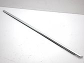 Front door glass trim molding
