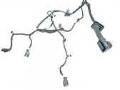 Rear door wiring loom