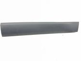 Front door trim (molding)