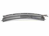 Wiper trim