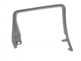 Rear door glass trim molding