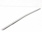 Front door glass trim molding