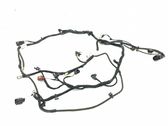 Other wiring loom