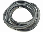 Trunk rubber seal (body)