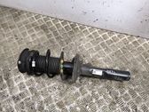 Front shock absorber/damper