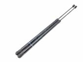 Tailgate/trunk strut/damper