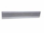 Front door trim (molding)