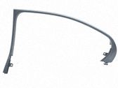 Rear door glass trim molding