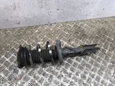 Front shock absorber/damper