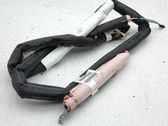 Roof airbag