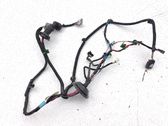 Rear door wiring loom