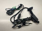 Front door wiring loom