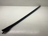 Windshield trim