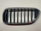 Front bumper upper radiator grill