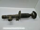 Front shock absorber/damper