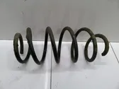 Front coil spring