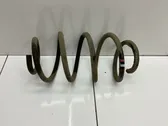 Front coil spring