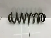 Rear coil spring