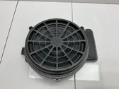 Subwoofer altoparlante