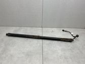 Tailgate/trunk strut/damper
