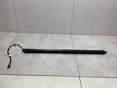 Tailgate/trunk strut/damper