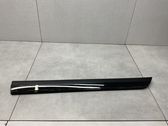 Rear door trim (molding)
