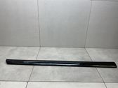 Front door trim (molding)