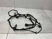 Parking sensor (PDC) wiring loom