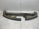 Radiator trim