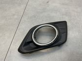 Front fog light trim/grill