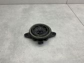 Lautsprecher Tür vorne