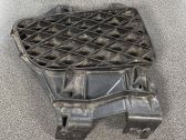 Grille inférieure de pare-chocs avant