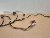 Front door wiring loom