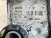 Oil filter mounting bracket