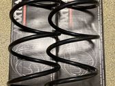 Front coil spring
