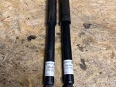 Rear shock absorber/damper