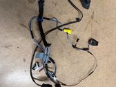 Front door wiring loom